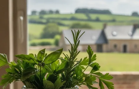 conserver herbes fraiches verre eau